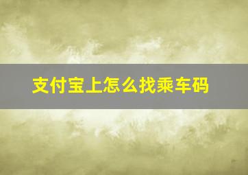 支付宝上怎么找乘车码