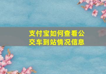 支付宝如何查看公交车到站情况信息