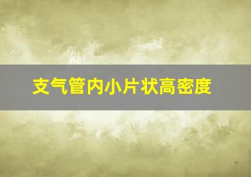 支气管内小片状高密度