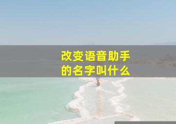 改变语音助手的名字叫什么