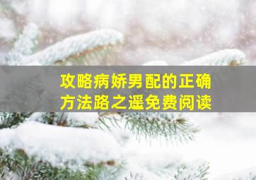 攻略病娇男配的正确方法路之遥免费阅读