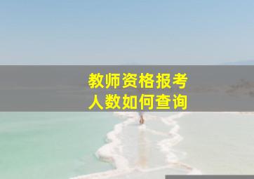 教师资格报考人数如何查询