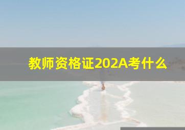 教师资格证202A考什么