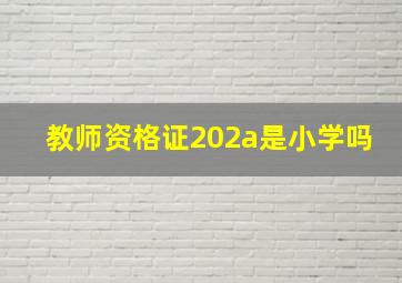 教师资格证202a是小学吗