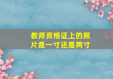 教师资格证上的照片是一寸还是两寸