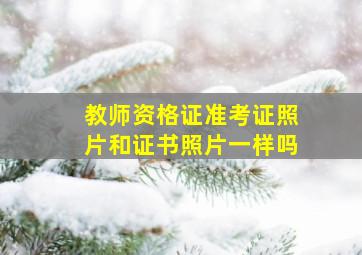 教师资格证准考证照片和证书照片一样吗