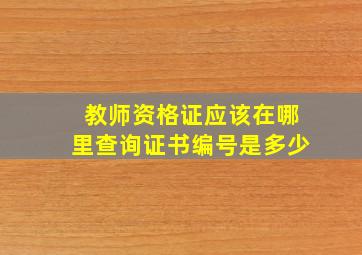 教师资格证应该在哪里查询证书编号是多少