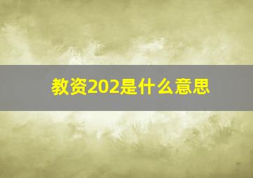 教资202是什么意思