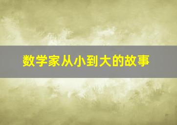 数学家从小到大的故事