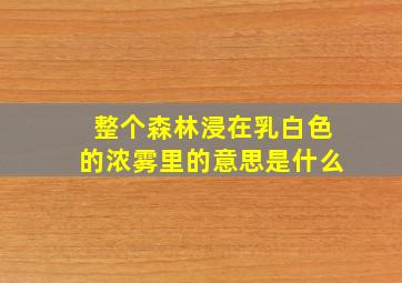 整个森林浸在乳白色的浓雾里的意思是什么