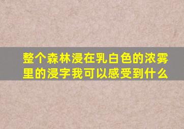 整个森林浸在乳白色的浓雾里的浸字我可以感受到什么