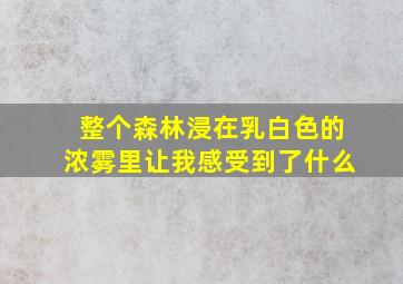 整个森林浸在乳白色的浓雾里让我感受到了什么