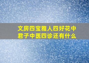 文房四宝雅人四好花中君子中医四诊还有什么