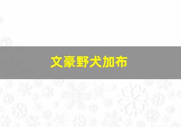 文豪野犬加布