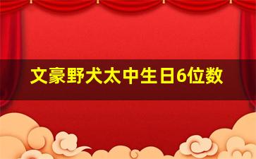 文豪野犬太中生日6位数