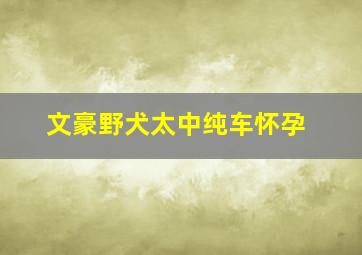 文豪野犬太中纯车怀孕