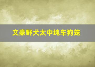 文豪野犬太中纯车狗笼