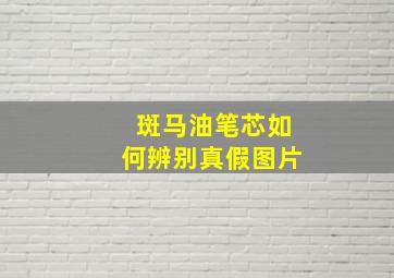 斑马油笔芯如何辨别真假图片