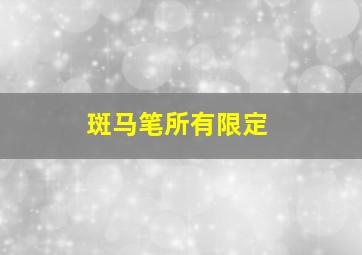 斑马笔所有限定