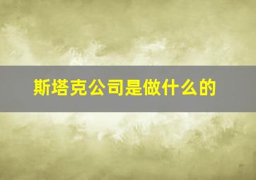 斯塔克公司是做什么的