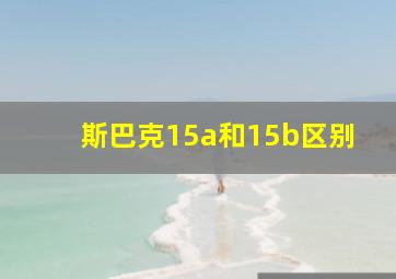 斯巴克15a和15b区别