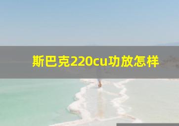 斯巴克220cu功放怎样