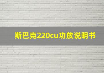 斯巴克220cu功放说明书