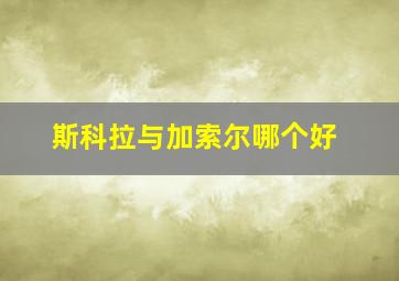 斯科拉与加索尔哪个好