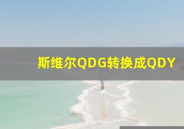 斯维尔QDG转换成QDY