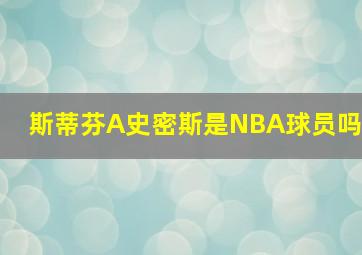 斯蒂芬A史密斯是NBA球员吗