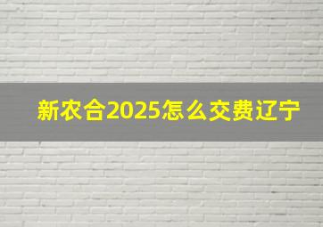 新农合2025怎么交费辽宁