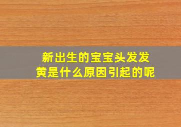 新出生的宝宝头发发黄是什么原因引起的呢