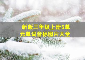 新版三年级上册5单元单词音标图片大全