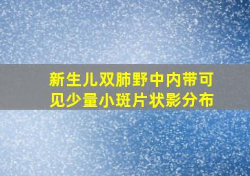 新生儿双肺野中内带可见少量小斑片状影分布