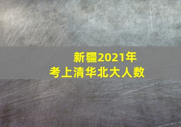 新疆2021年考上清华北大人数