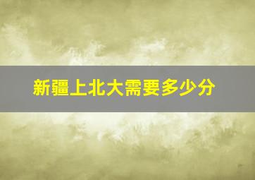 新疆上北大需要多少分