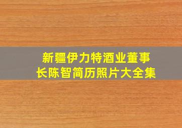 新疆伊力特酒业董事长陈智简历照片大全集