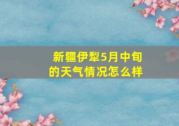 新疆伊犁5月中旬的天气情况怎么样