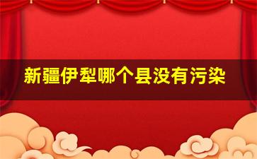 新疆伊犁哪个县没有污染