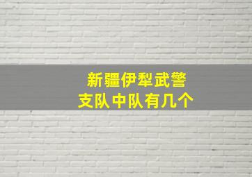 新疆伊犁武警支队中队有几个