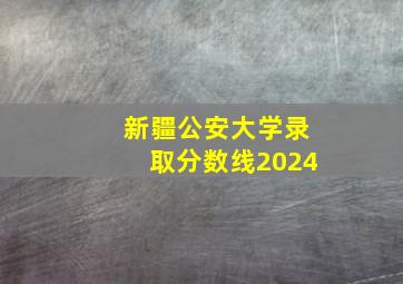 新疆公安大学录取分数线2024