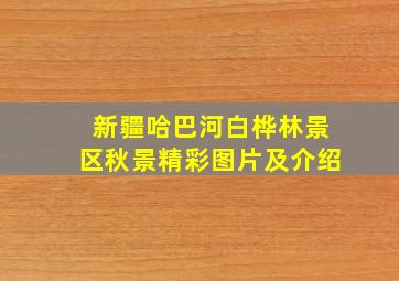 新疆哈巴河白桦林景区秋景精彩图片及介绍