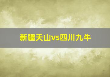 新疆天山vs四川九牛