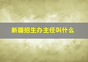 新疆招生办主任叫什么