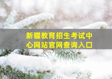 新疆教育招生考试中心网站官网查询入口