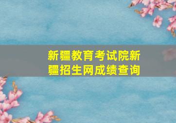 新疆教育考试院新疆招生网成绩查询