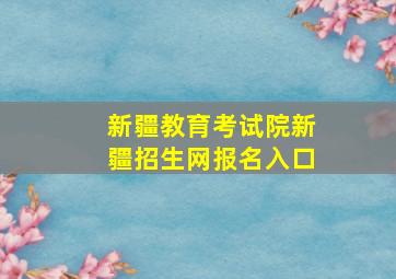 新疆教育考试院新疆招生网报名入口