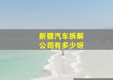 新疆汽车拆解公司有多少呀