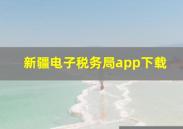 新疆电子税务局app下载