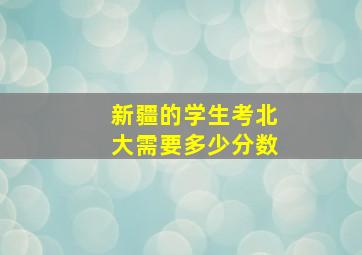 新疆的学生考北大需要多少分数